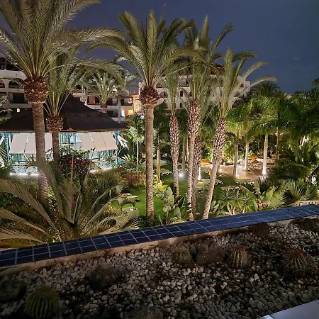 Studio No 2 Just 100 To And Sea, Large Terrace, Heated Pool, Wifi, Aircondition For A Fee * Playa de las Americas (Tenerife)